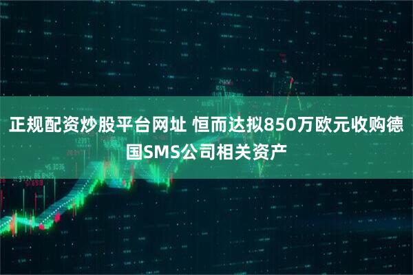 正规配资炒股平台网址 恒而达拟850万欧元收购德国SMS公司相关资产