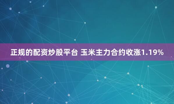 正规的配资炒股平台 玉米主力合约收涨1.19%